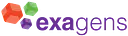 exagens logo