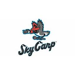 Beloit Sky Carp logo
