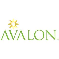 Avalon Consulting Group logo