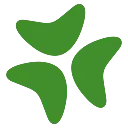  Bloomerang logo