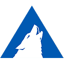 Arctic Wolf Networks logo