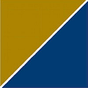 Precision Medicine Group logo