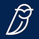 Blue Owl Capital Holdings logo