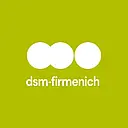 DSM logo