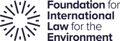 FILE Foundation logo