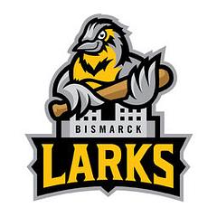 Bismarck Larks logo