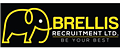 BRELLIS RECRUITMENT LIMITED logo