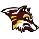 Cutter Morning Star School District logo