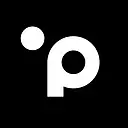 Planet Payment logo