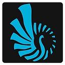 Rotation Solutions Pty logo