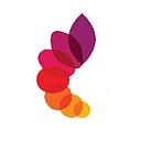 University Hospital Foundation logo