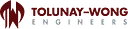 Tolunay-Wong Engineers logo