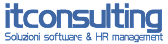 ITConsulting logo