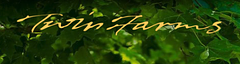Twin Farms logo