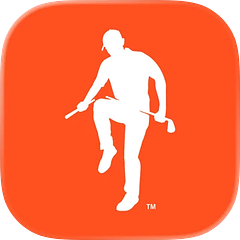 WhyGolf logo