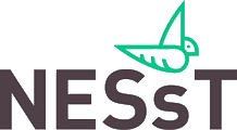 NESsT Inc logo