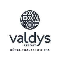 VALDYS GROUPE logo