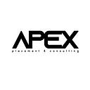 Apex Staffing Company logo