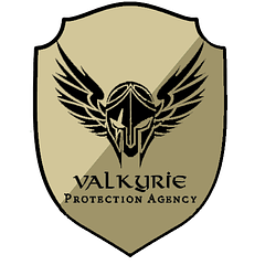 Valkyrie Protection Agency logo