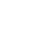 DSI Entreprise Adaptée etlusive logo