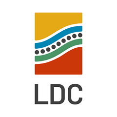 LDC logo