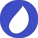Rain Technologies Inc. logo