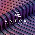 Satori Analytics logo