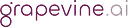 GrapevineAI logo
