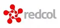 Redcol-New Cambridge School logo