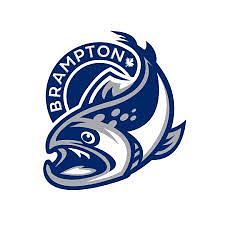 Brampton Steelheads Hockey Club logo