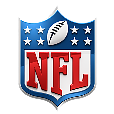 The National Football League logo