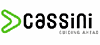 Cassini Consulting AG logo