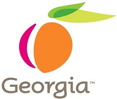 Team Georgia logo