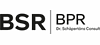 BPR Dr. Schäpertöns Consult GmbH & Co. KG logo