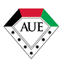 American University In the Emirates (AUE) logo