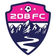 Project 208 FC logo