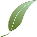 Smartleaf logo