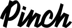 Pinch logo