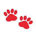 American Veterinary Group logo