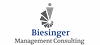 Biesinger Management Consulting logo