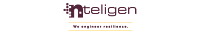 Nteligen logo