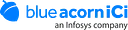 Blue Acorn iCi logo