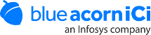 Blue Acorn iCi logo
