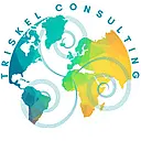 Triskel Consulting logo