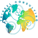 Triskel Consulting logo