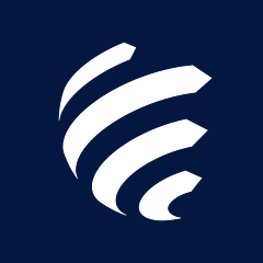 Stefanini Group logo