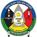 Fond du Lac Band of Lake Superior Chippewa logo