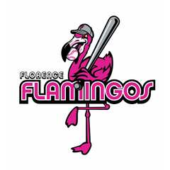 Florence Flamingos logo