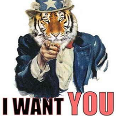 Caldwell County Schools logo