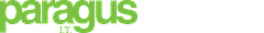 Paragus Strategic IT logo